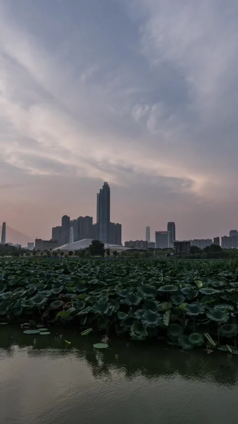 Vertical Wuhan Yangtze River Sunset Glow Water Motion Timelapse Stock Footage 327676063