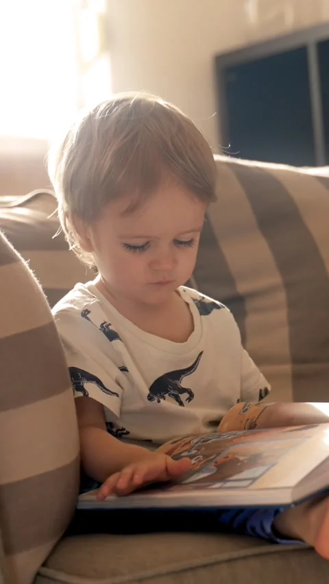 Vertical of Young Boy Reading Book on Couch Stock Footage 274146060