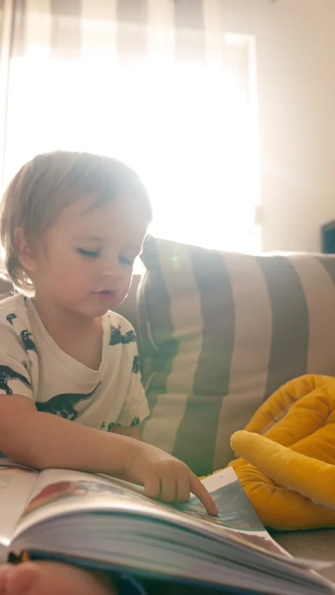 Vertical of Young Boy Reading Book on Cozy Couch Stock Footage 274146119