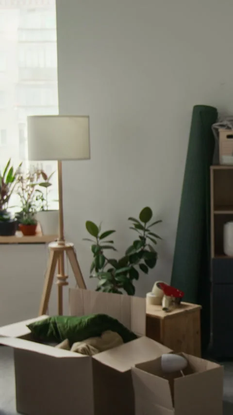 Vertical of Young Man in Orange Jacket Carrying Heavy Boxes into Living Room Stock Footage 323296171
