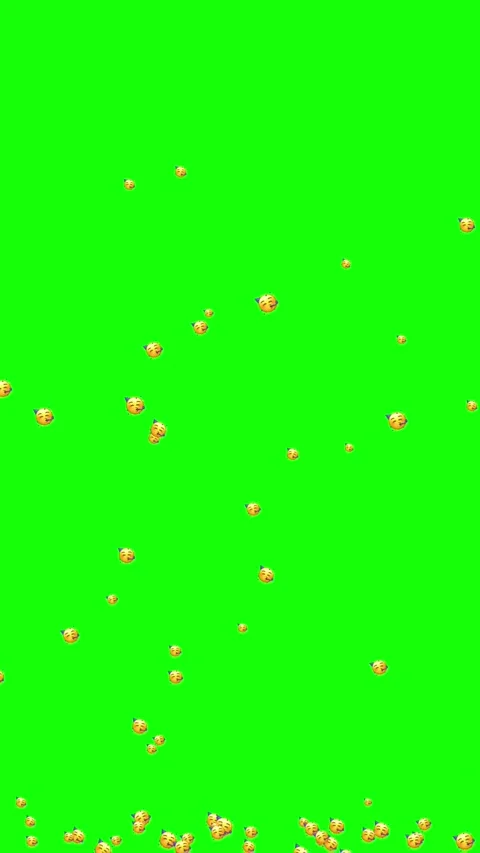 Vertical your recording with graphic elements on a green screen with jumpin.. Stock-Footage 304055786