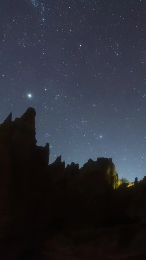 Vertical Yunnan Earth Forest Starry Night Galaxy Motion Timelapse Stock Footage 327673296