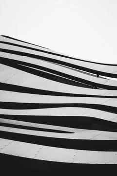 Vertical zebra pattern great match for monochrome background Illustrazione stock