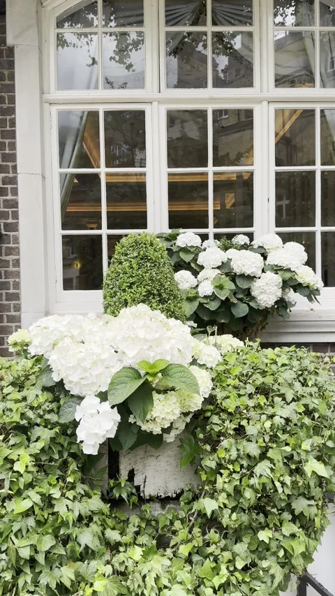 Vertical zoom in shot of classic window decorated with white flowers Stock Footage 336680208