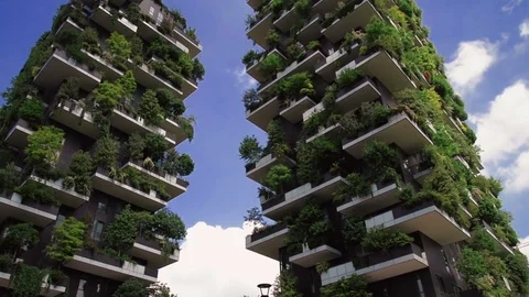 Verticale. two prestigious buildings, which grow more than 1,000 specimens of Stock Footage 75755818