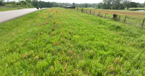 Vertically ascending viewing grass wild flowers along highway pasture beyond Stock-Footage 335669478