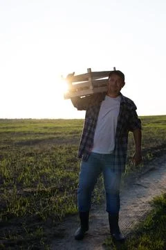 Vertically. A farmer with a box of potatoes stands in a field against the Stock Photos