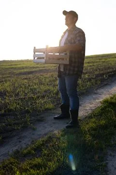 Vertically. A farmer with a box of potatoes stands in a field against the b.. Stock Photos