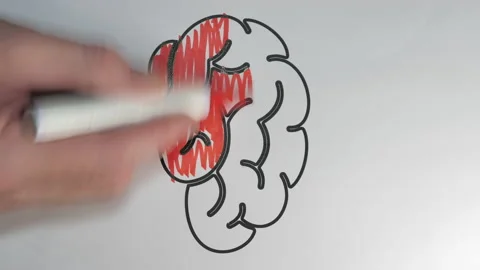 The vertically oriented illustration of the brain Stock Footage 146225714