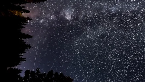 A vertically oriented star trails time lapse of the Milky Way with pine trees Stock Footage 118608389