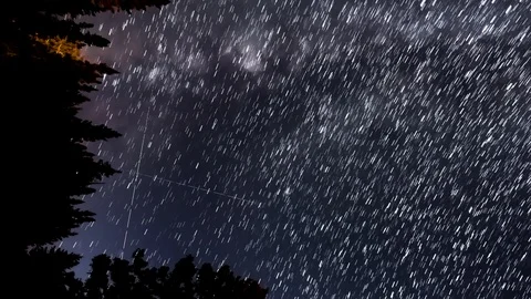 A vertically oriented star trails time lapse of the Milky Way with pine tree sil Stock Footage 119387663