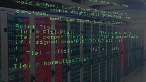 Vertically scrolling green C code starting InternetReadFile over red fingerprint Stock Footage 311084490