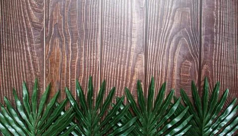The vertically spaced brown plank background has a texture of wood and fern l Stock Photos