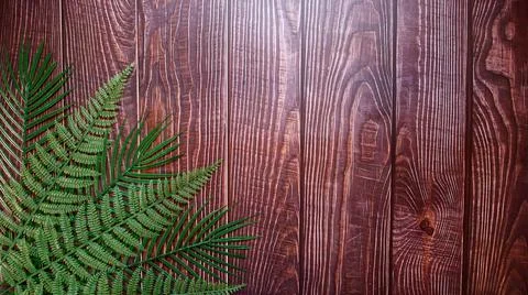 The vertically spaced brown plank background has a distinct wood grain patter Stock Photos