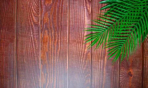 The vertically spaced brown plank background has a distinct wood grain patter Stock Photos