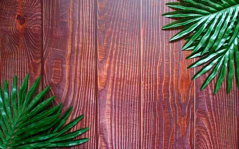 The vertically spaced dark brown plank background has a distinct wood grain p Stock Photos