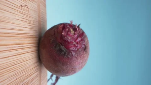 Vertically. super close up. details. fresh beets on a wooden board Stock Footage 134934534
