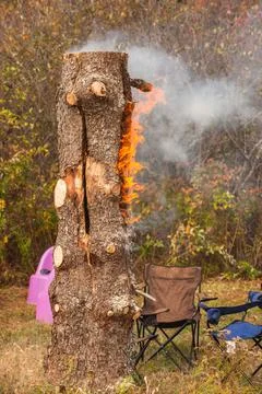 Verticl shot of a burning tree trunk in a forest Stock Photos