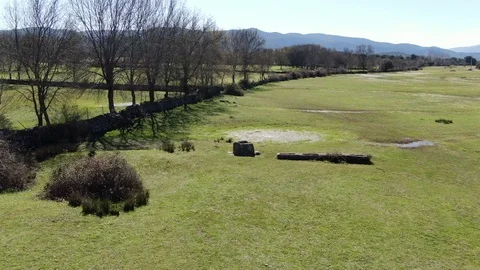 Vertigo effect on a green meadow Stock Footage