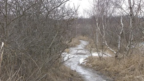 Vertigo effect on small wet trail Stock Footage 87510104