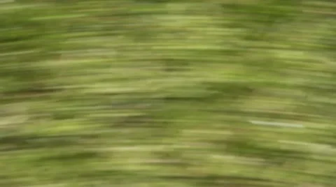 Vertigo Stock Footage 10764089