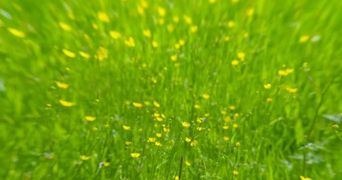 Vertigo Vidéo 105792643