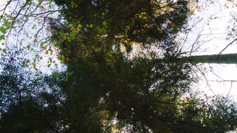 Vertigo Vídeos de archivo 143470877