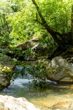 Vertiical View of a River in a forest in a hot summer day Stock Photos