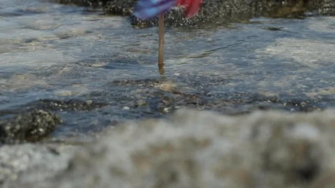 Vertushka Stock Footage 126538111