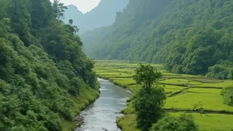A very beautiful forest with a flowing river Stock Footage 310664868