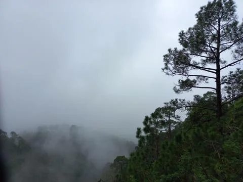 Is very beautiful to see every tree in the mountains during the rainy season. Stock Photos
