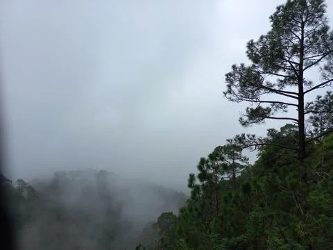 Is very beautiful to see every tree in the mountains during the rainy season. Stock Photos