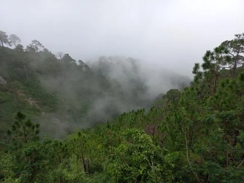 Is very beautiful to see every tree in the mountains during the rainy season. Stock Photos