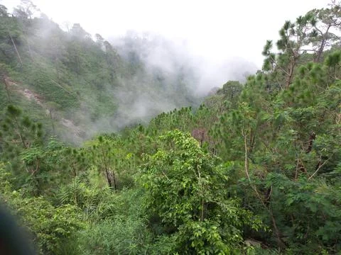Is very beautiful to see every tree in the mountains during the rainy season. Stock Photos