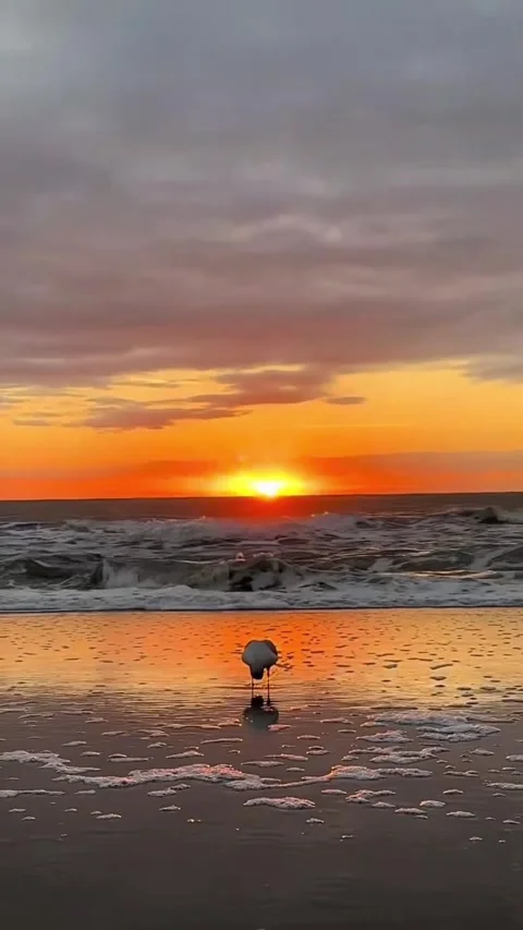 A very beautiful sunset Stock Footage 328451899