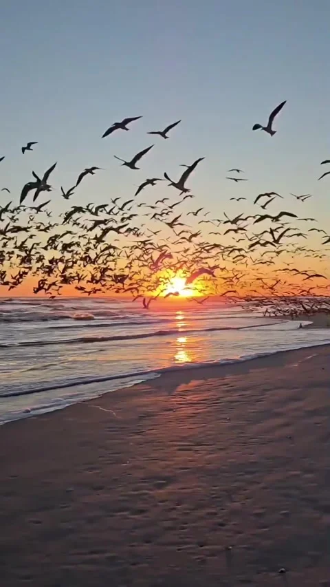 A very beautiful sunset Stock Footage 328451910