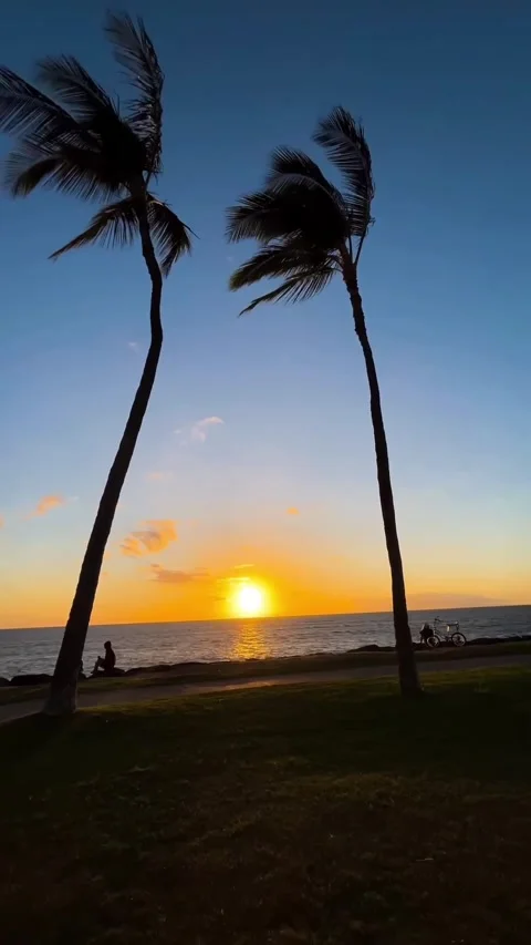 A very beautiful sunset Stock Footage 328451930