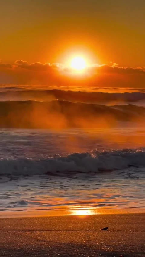 A very beautiful sunset Stock Footage 328704064