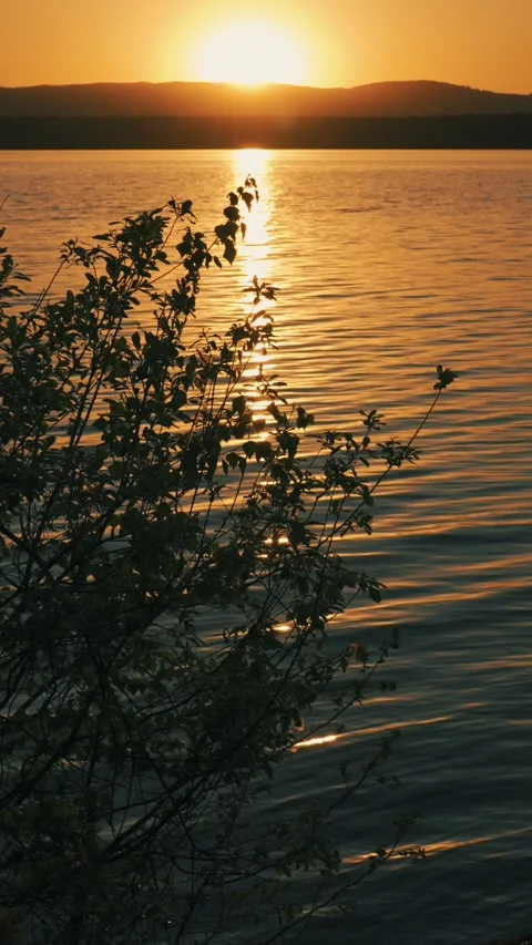A very beautiful sunset landscape with views of the lake and mountains. Video stock 344022182