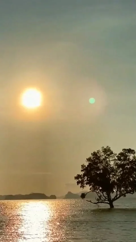 Very beautiful sunset view Stock Footage 203933973