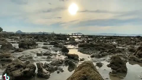 Very beautiful sunset view Stock Footage 203934445