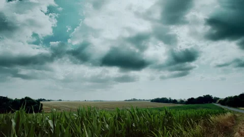 Very beautiful timelapse over a cornfield. Video stock 263728345
