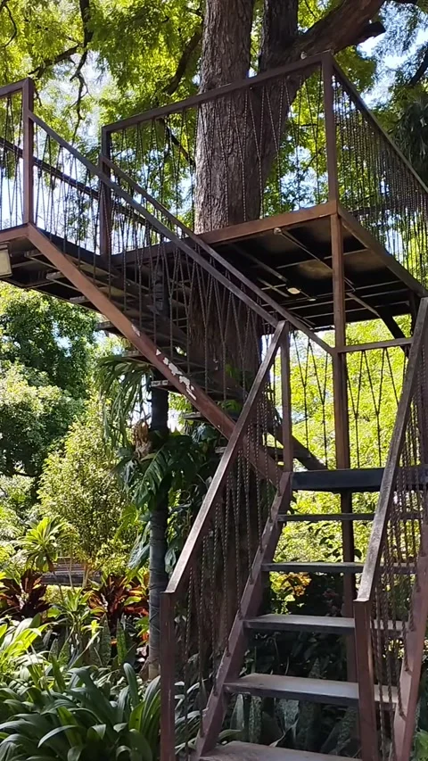 Very beautiful tree house Stock Footage 229572804