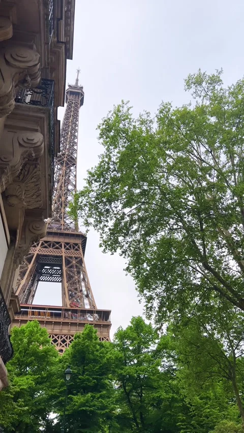 Very beautiful view of the Eiffel Tower from Rue Buenos-Ayres. Vertical video. Stock Footage 311943983