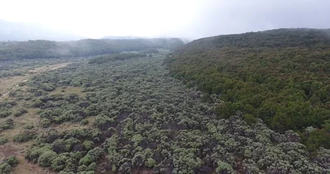 Very beautiful view of Mount Papandayan Stock Footage 245321453