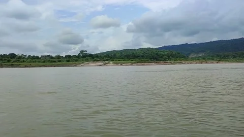 Very beautiful view of tee forest. Video stock 276607208