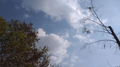 This is very beautiful view of white clouds on the sky with branch of tree Stock Photos