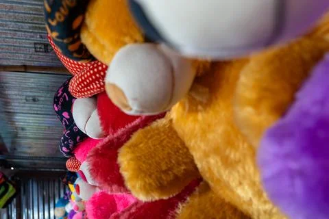 Very Big Teddy Bear Soft Toy Hanging in Wall Stock Photos