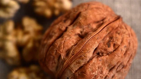 Very Big Walnuts on Brown background Stock Footage 59086950