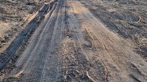 A very bumpy forest road destroyed by heavy road construction equipment 스톡 동영상 309555256